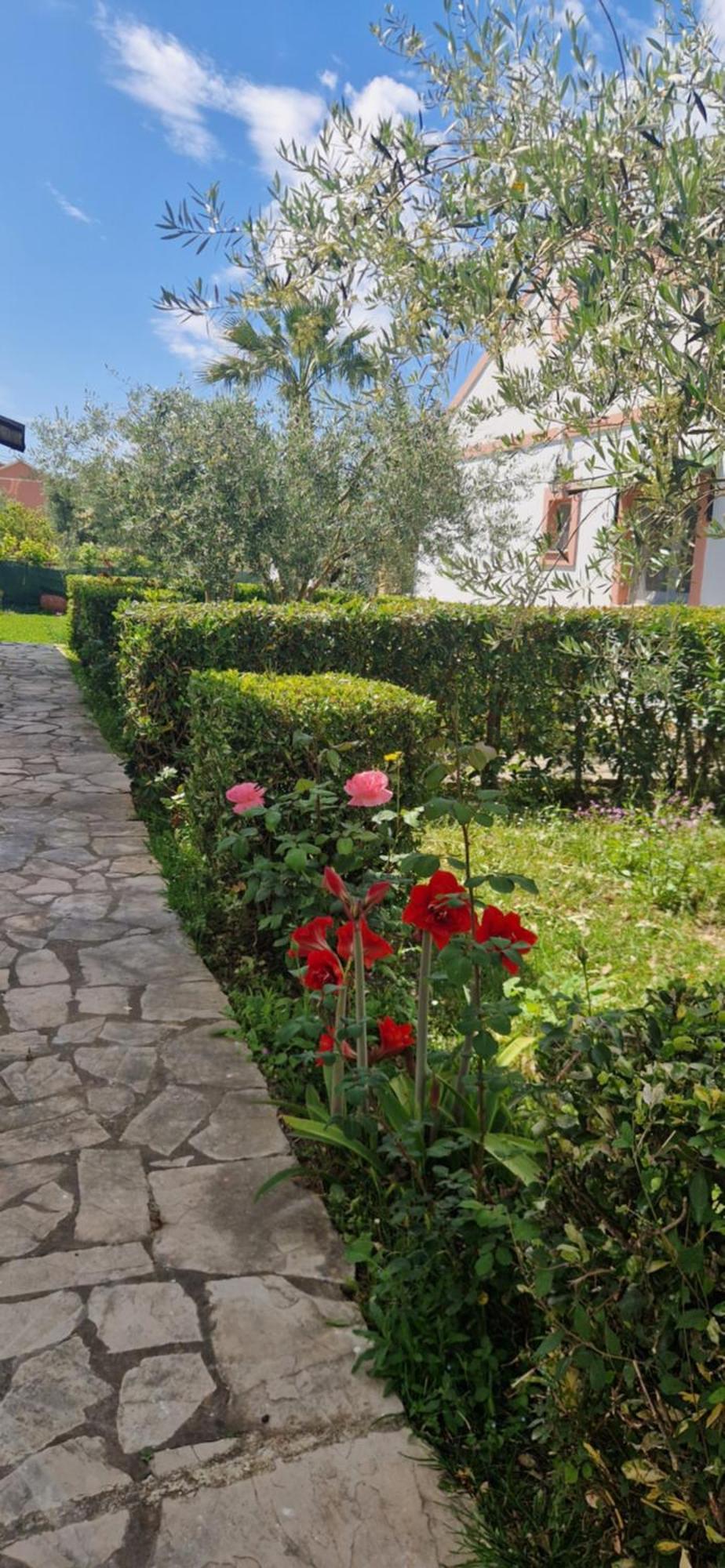 Corfu Studio 4U روذا المظهر الخارجي الصورة
